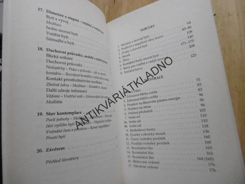 MEDITACE JAKO SPIRITUÁLNÍ TECHNIKA, GENEVIEVE L. PAULSONOVÁ, **an
