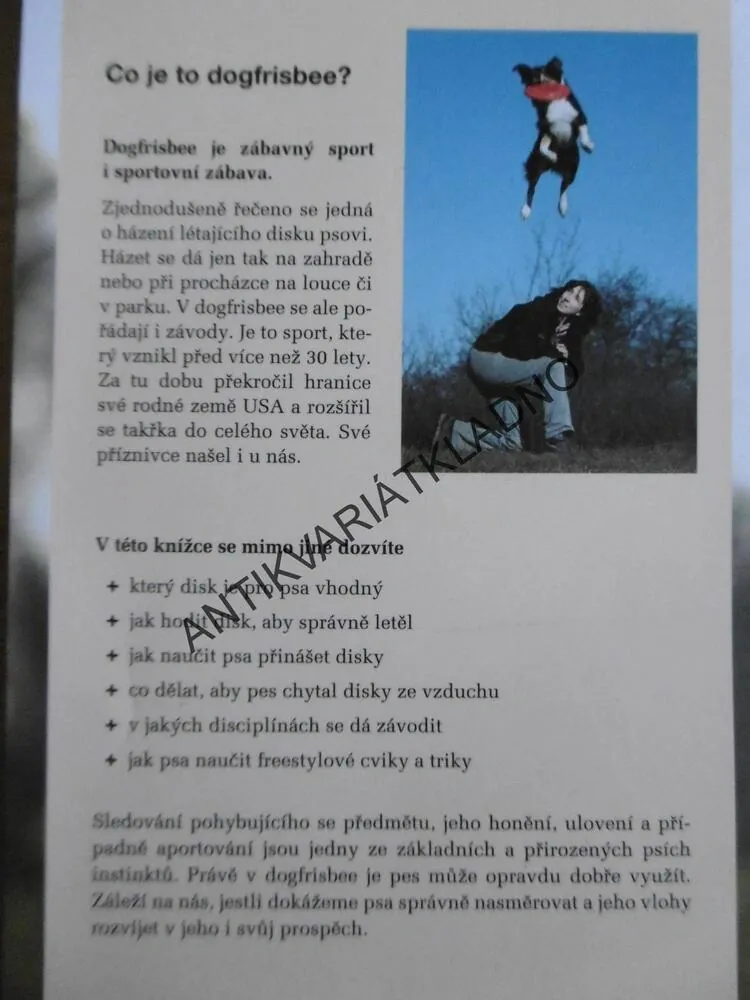 DOG FRISBEE, YVONA ANDROVÁ, **an