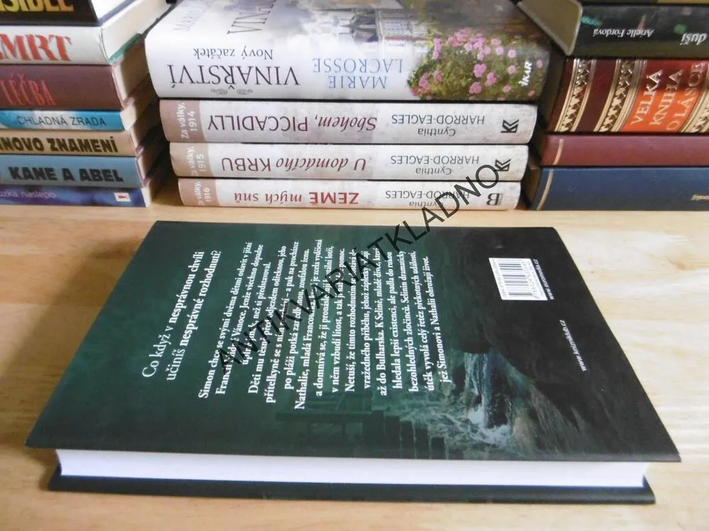 ROZHODNUTÍ, CHARLOTTE LINKOVÁ, **an