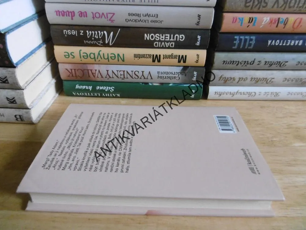MEZI NÁMI DĚVČATY, KRISTY SCOTTOVÁ, **an