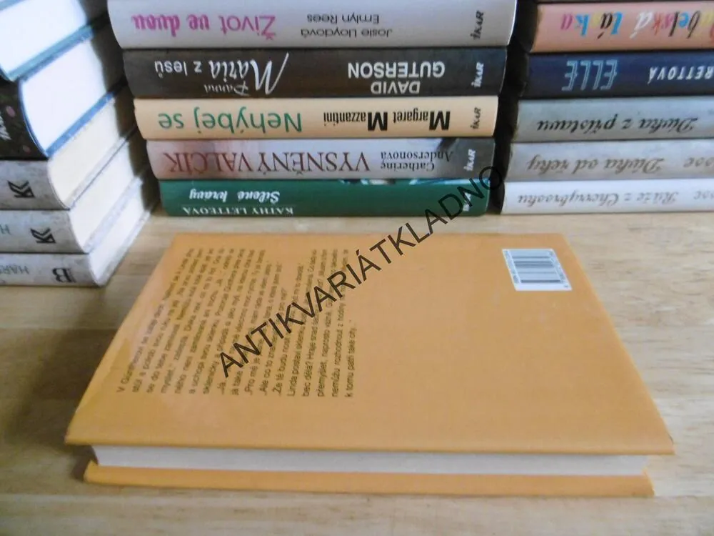 PŘÍLIŠ MNOHO MUŽNOSTI, GABY HAUPTMANNOVÁ, **an