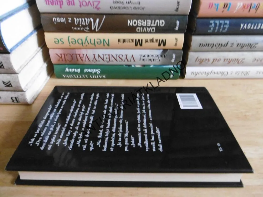 PO VŠECH TĚCH LETECH, SUSAN ISAACOVÁ, **an