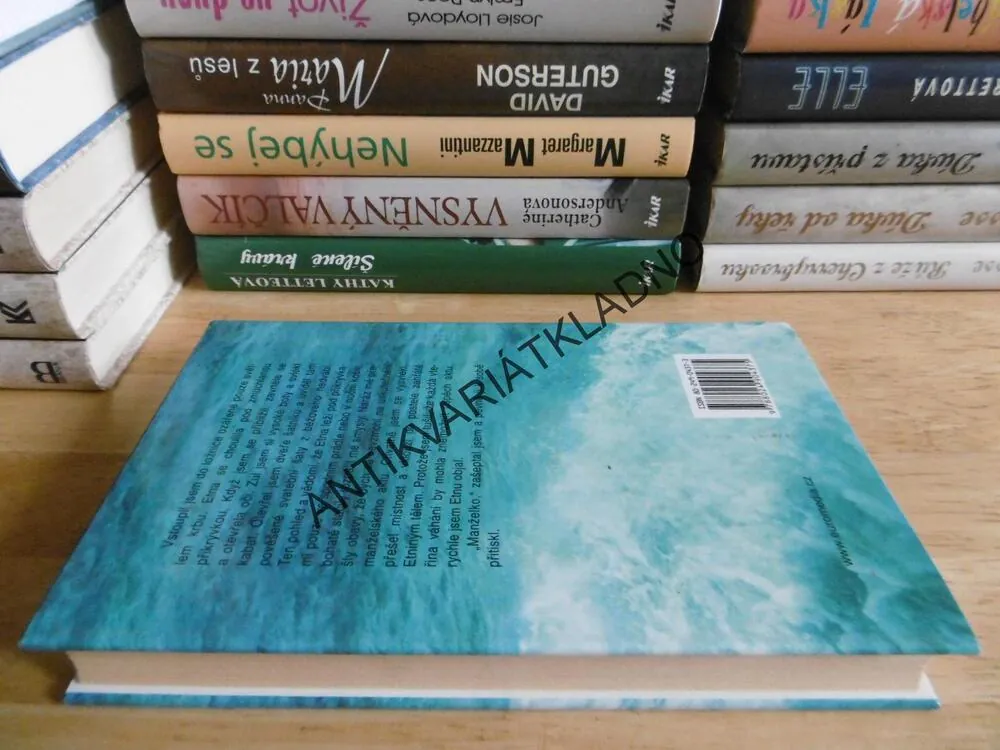 VŠE, CO SI KDY PŘÁL, ANITA SHREVEOVÁ, **an