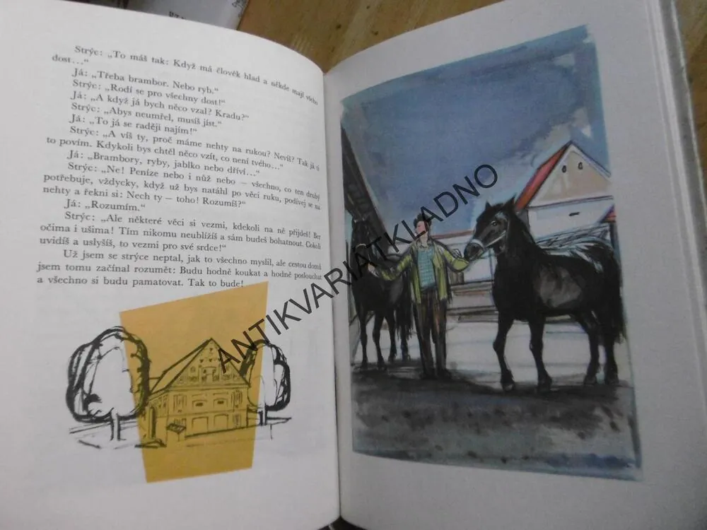 ŘÍKALI MU ULIČNÍK, DONÁT ŠAJNER, **an