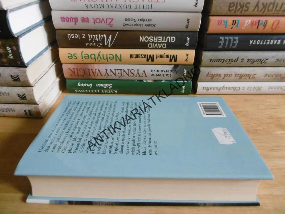 REBEČIN PŘÍBĚH, SALLY BEAUMAN, **an