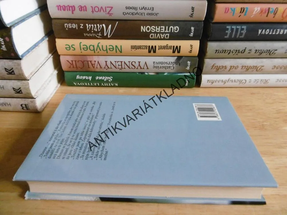 HRADY Z PÍSKU, LUANNE RICEOVÁ, **an