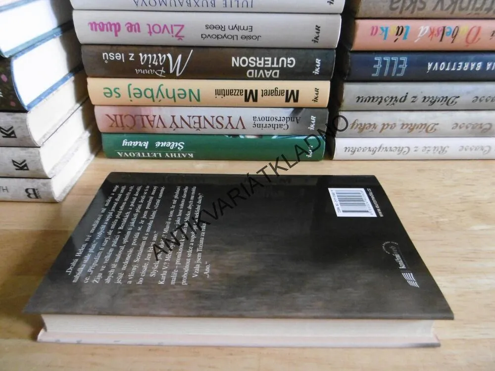ZAPOMENUTÝ PŘÍBĚH, YXTA MAYA MURRAYOVÁ, **an