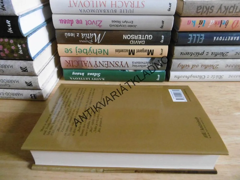 DŮM NA TARA ROAD, MAEVE BINCHY, **an