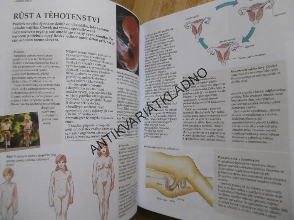 ŠKOLNÍ ENCYKLOPEDIE, 96 TÉMAT, 600 ILUSTRACÍ, 550 HESEL, 