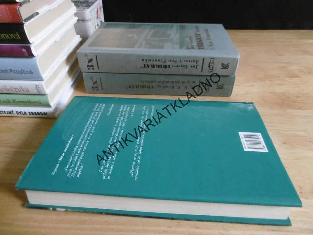 MÍSTO ZVANÉ DOMOV, DEBORAH SMITH, **an