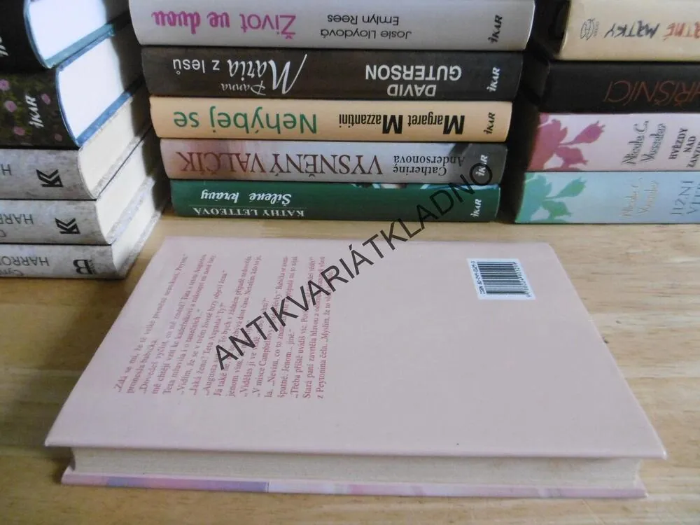 NEZKROTNÁ NORA, ANNE RIVERS SIDDONSOVÁ, **an