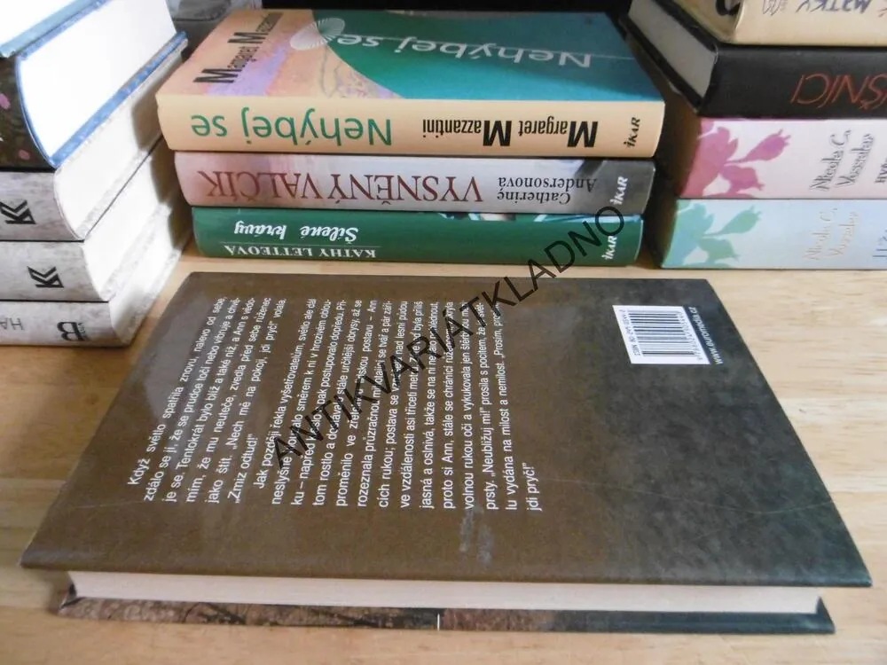 PANNA MARIA Z LESŮ, DAVID GUTERSON, **an