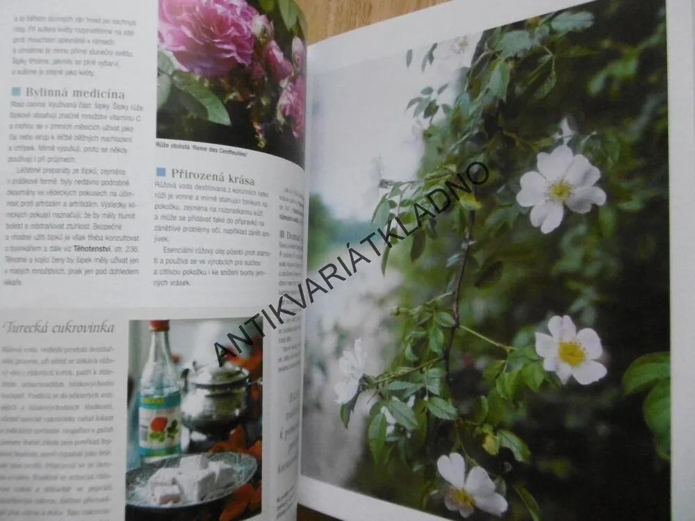 VELKÁ KNIHA BYLINEK, HERBÁŘ, BYLINKY, MEDICÍNA, KOSMETIKA, RECEPTY, VÝBĚR, **an