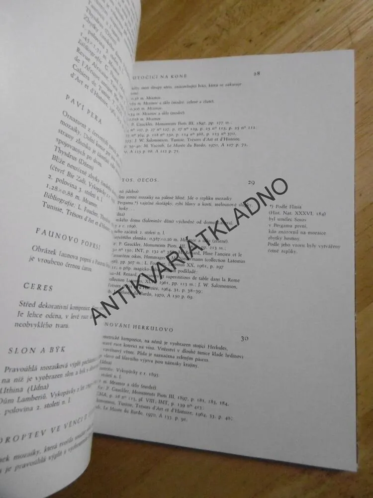 UMĚLECKÉ POKLADY TUNISU, ŘÍMSKÁ CIVILISACE V AFRICE, **an