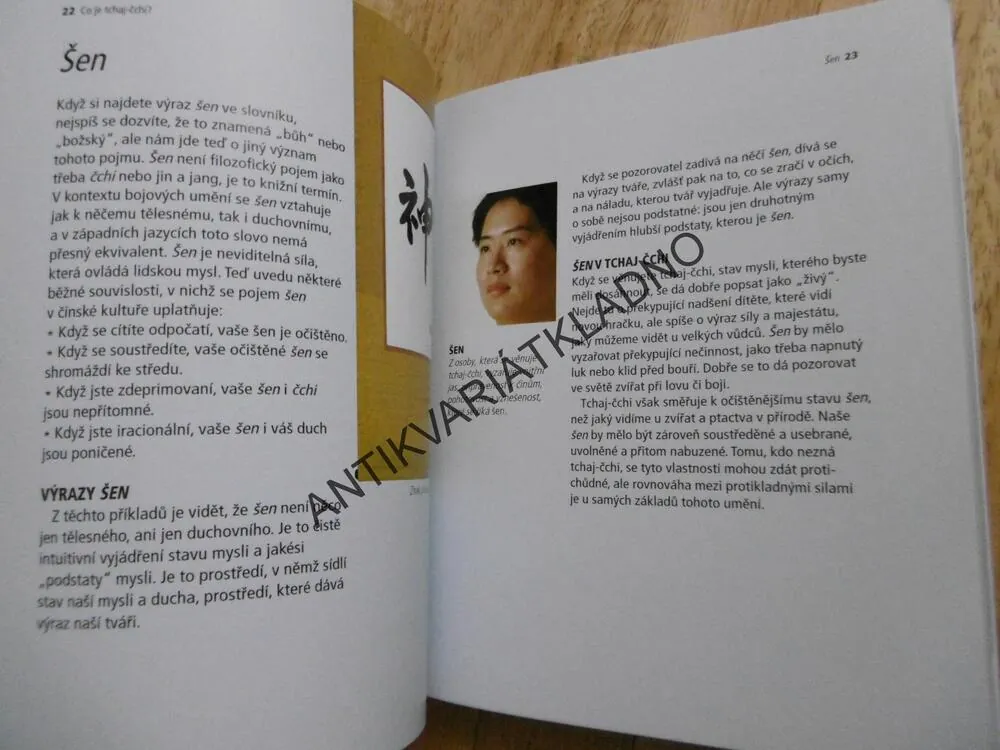 TCHAJ-ČCHI, PRAKTICKÝ OBRAZOVÝ PRŮVODCE, CVIČENÍ DOMA, PRÁCI I NA CESTÁCH,