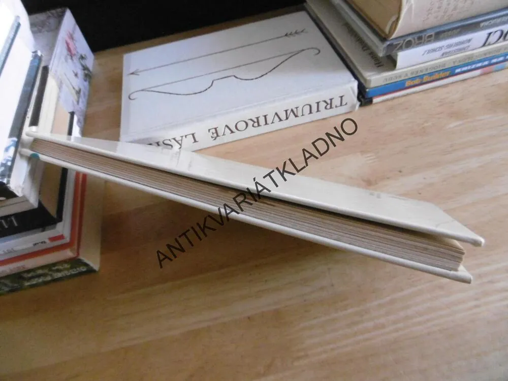 ZNÁTE TOMÁNKA?, ELIŠKA HORELOVÁ, ALENA LADOVÁ, **an