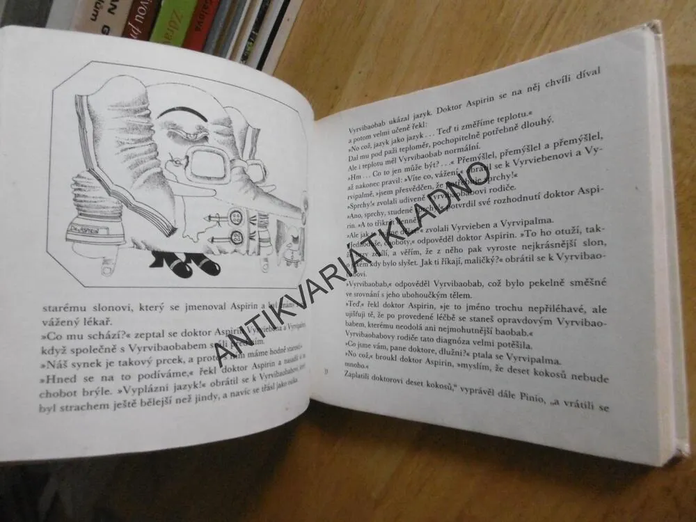 O BÍLÉM SLONU, LUDWIK JERZY KERN, **an