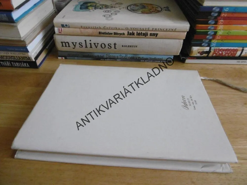 EVŽEN ONĚGIN, ALEXANDR SERGEJEVIČ PUŠKIN, **an
