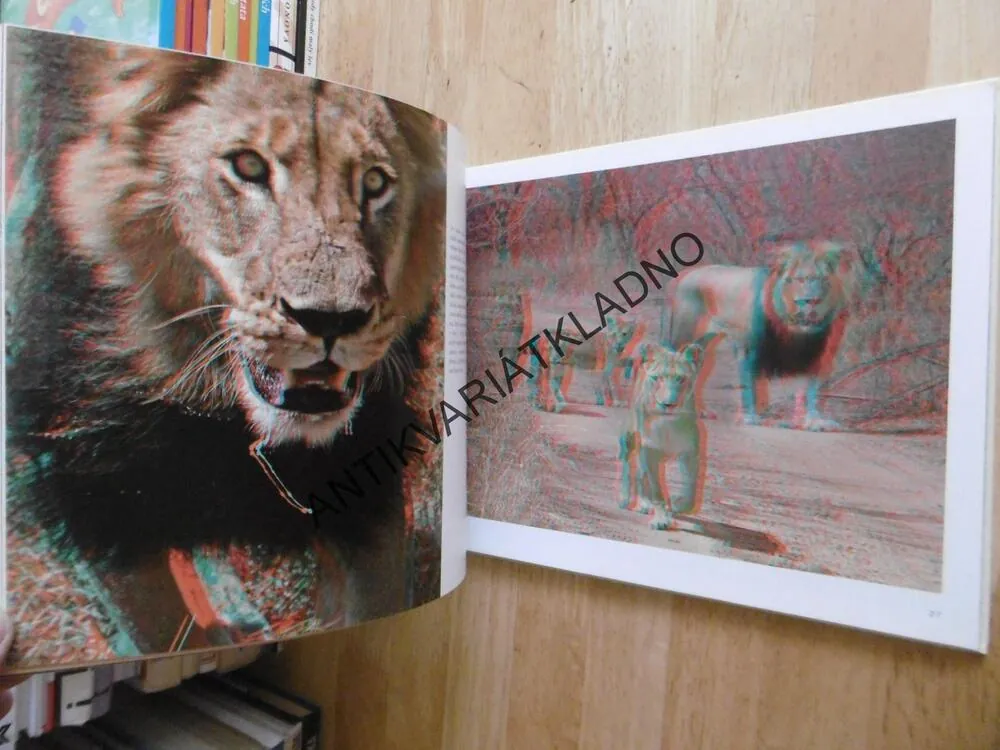 AFRICKÁ ZVĚŘ TROJROZMĚRNĚ, BENNY REBEL, **an