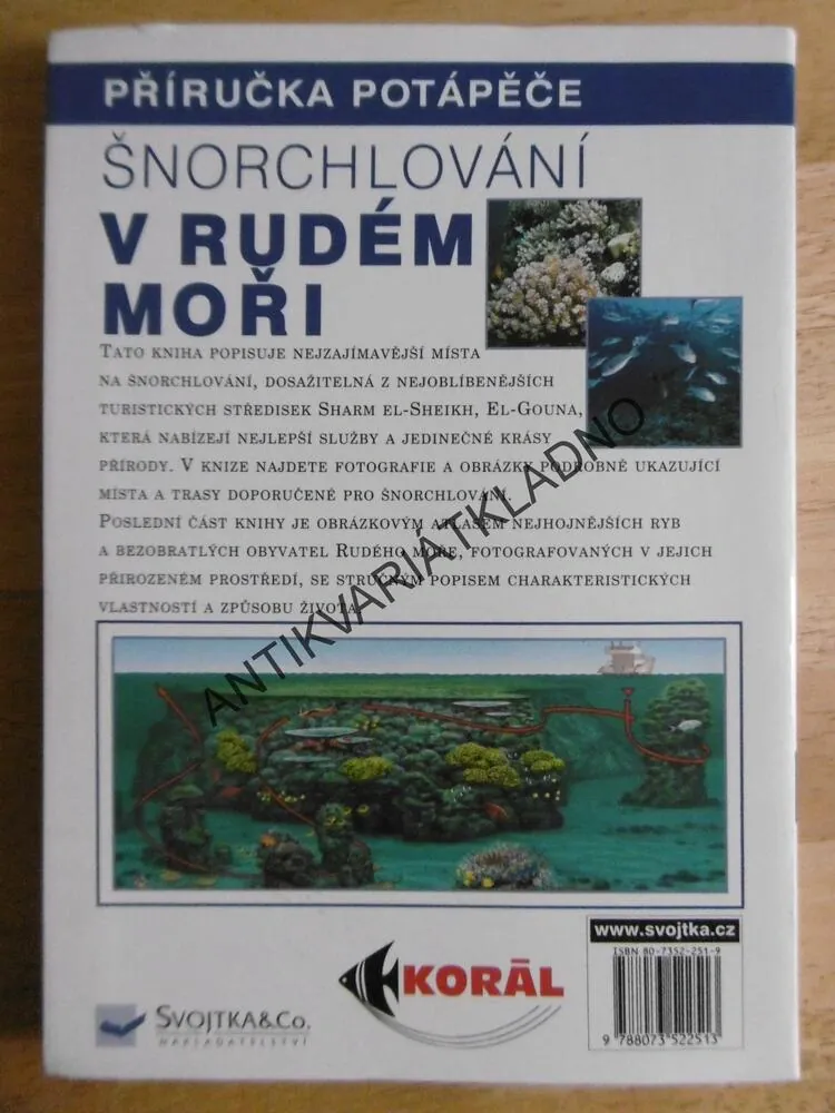 ŠNORCHLOVÁNÍ V RUDÉM MOŘI, PŘÍRUČKA POTÁPĚČE, CLAUDIO CANGINI, NADIA ALZANI, **an