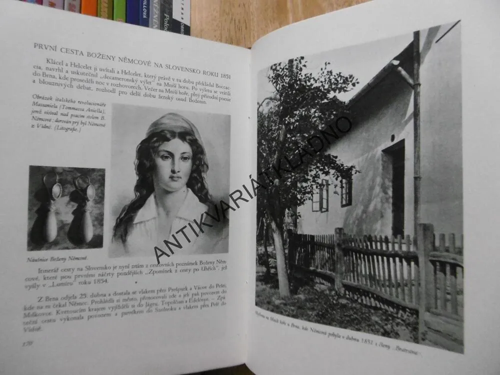 BOŽENA NĚMCOVÁ, FRANTIŠEK KUBKA, MILOSLAV NOVOTNÝ, **an