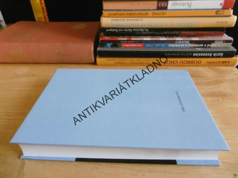 ČESKO A RAKOUSKO PO KONCI STUDENÉ VÁLKY, RŮZNÝMI CESTAMI DO NOVÉ EVROPY, JIŘÍ PEŠEK A KOLEKTIV, **an