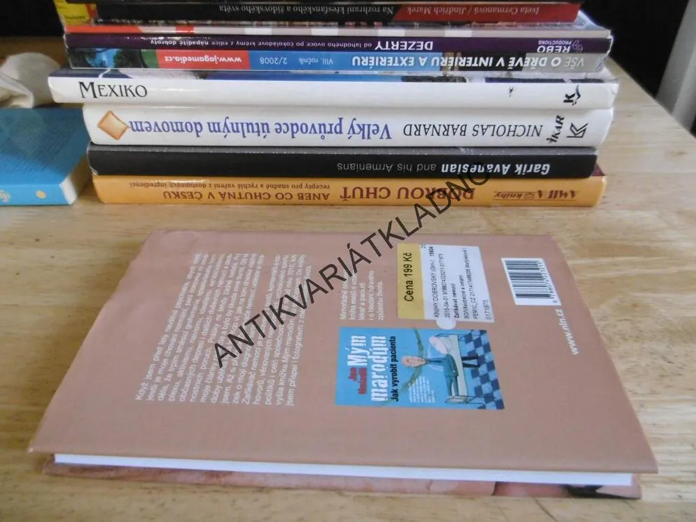 ZAŘÍKÁVAČ NEMOCÍ, JAN HNÍZDIL, **an