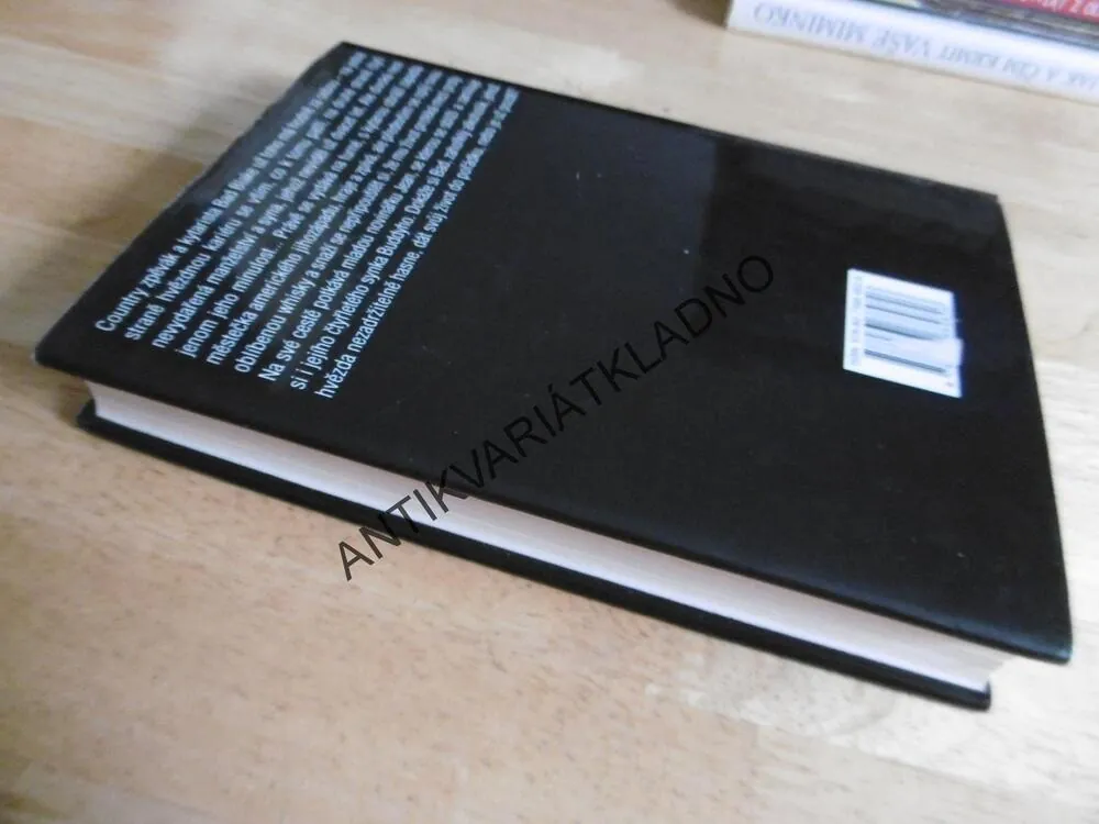 BLÁZNIVÉ SRDCE, CRAZY HEART, THOMAS COBB, **an