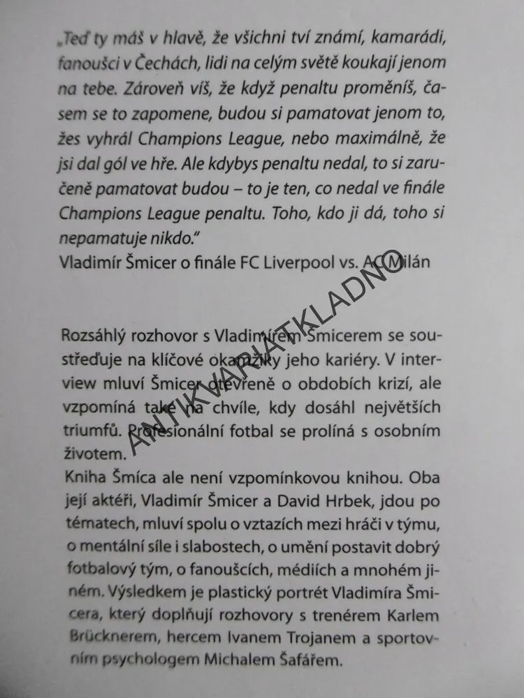 ŠMÍCA, DAVID HRBEK, VLADIMÍR ŠMICER, **an 