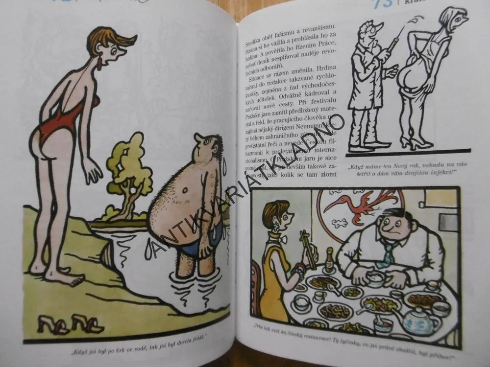 Z ARCHÍVŮ KRÁLE HUMORU, NEPRAKTA 2, JIŘÍ WINTER, MILOSLAV ŠVANDRLÍK, **an