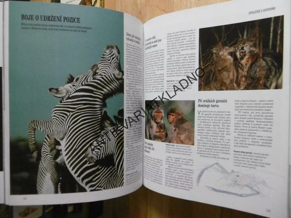 SOUKROMÍ ŽIVOČICHŮ, JOHN PALMER, **an