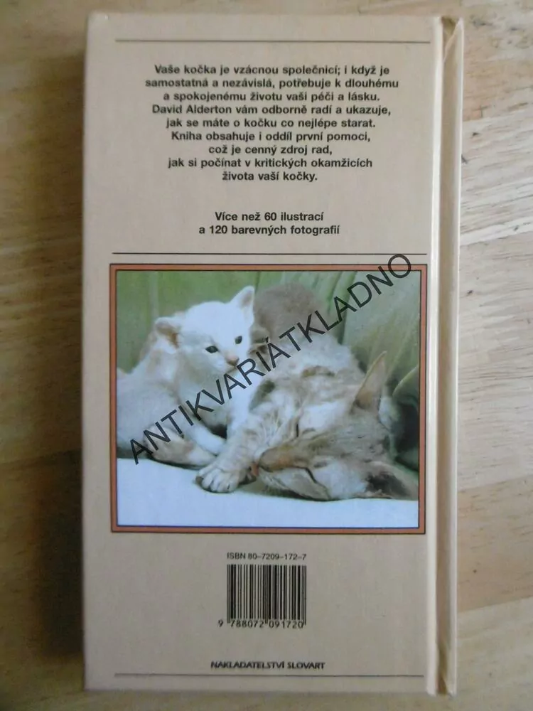 VAŠE KOČKA A KOŤÁTKO, DAVID ALDERTON, **an