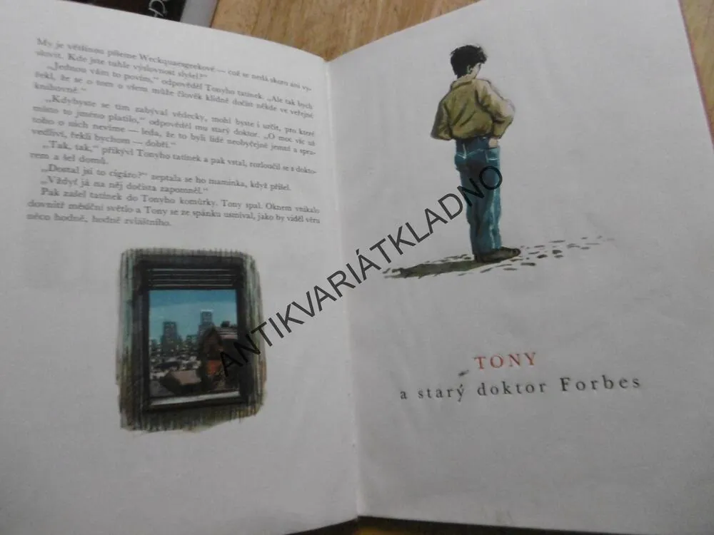 TONY A ZÁZRAČNÁ DVÍŘKA, HOWARD FAST, **an