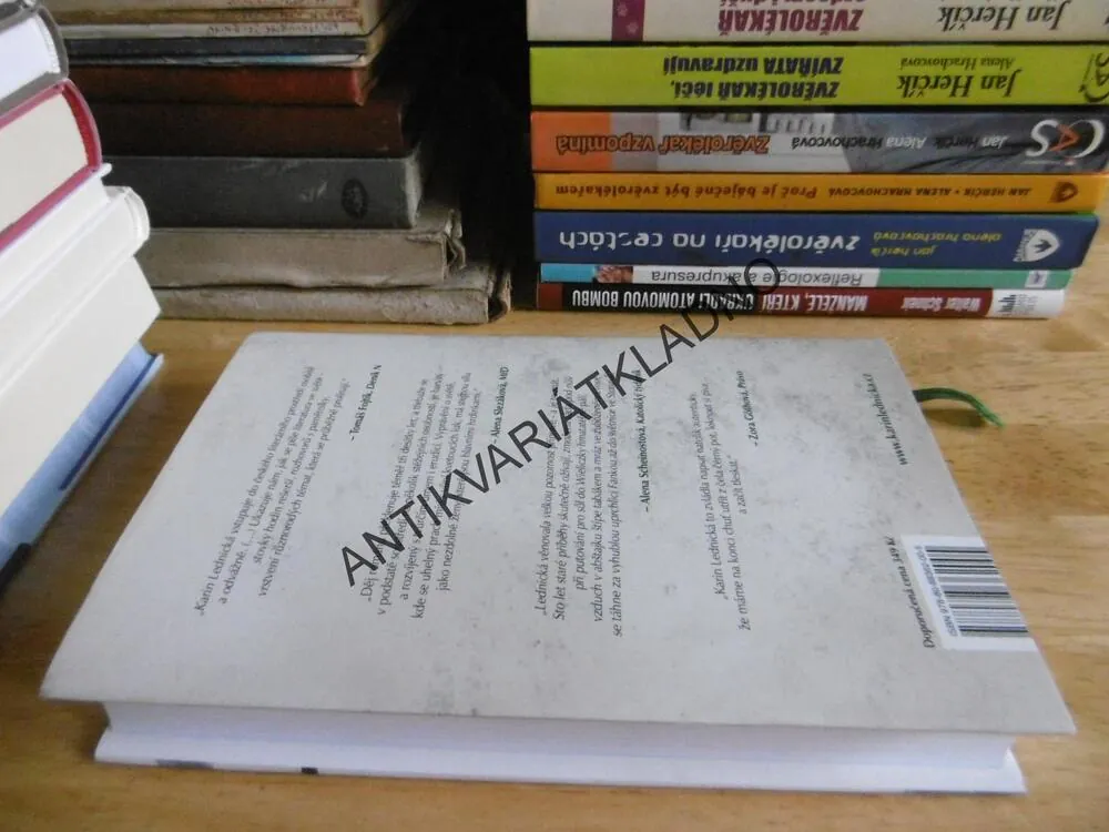 ŠIKMÝ KOSTEL, KARIN LEDNICKÁ, **an