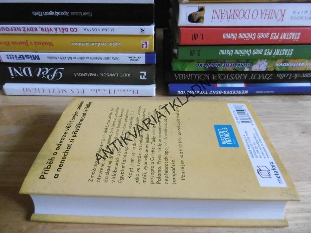 SLEČNY, ANNE-GAËLLE HUON, **an
