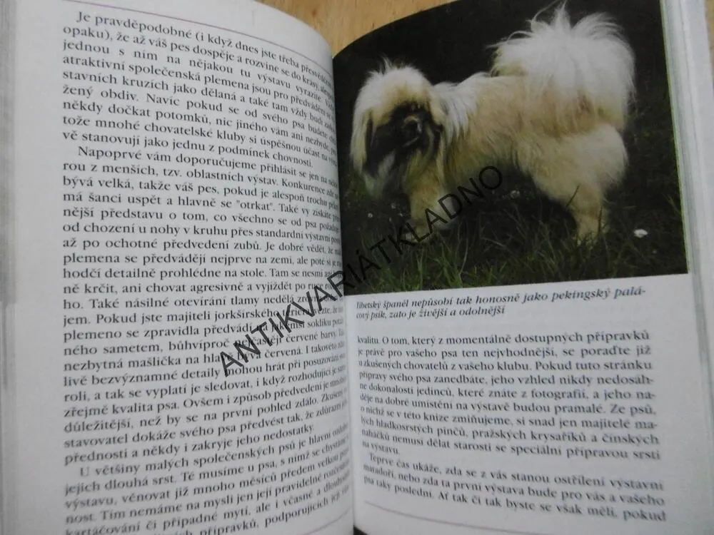 PSI DO KAPSY, LEA SMRČKOVÁ,  **an