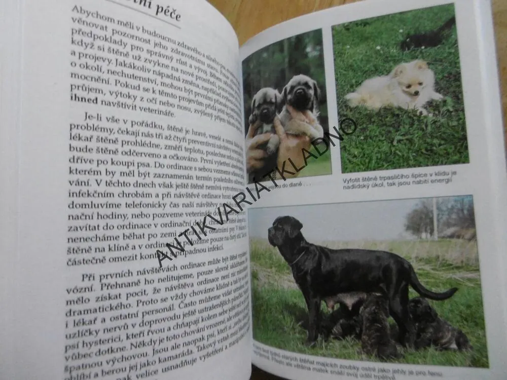 ŠTĚŇATA, VÝŽIVA, PÉČE, VÝCHOVA, VLADIMÍRA JESTŘÁBOVÁ, **an