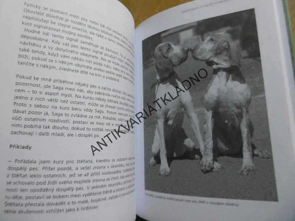 KONEJŠIVÉ SIGNÁLY, NA JEDNÉ VLNĚ SE PSEM, TURID RUGAAS, **an