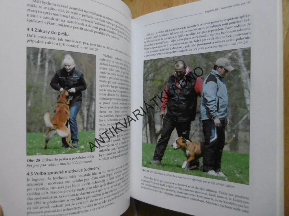 ŠTASTNÝ PES ANEB CVIČÍME HLAVOU, 1. DÍL, LADISLAV MACH, **an