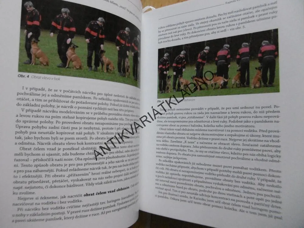 ŠTASTNÝ PES ANEB CVIČÍME HLAVOU, 2. DÍL, LADISLAV MACH, **an