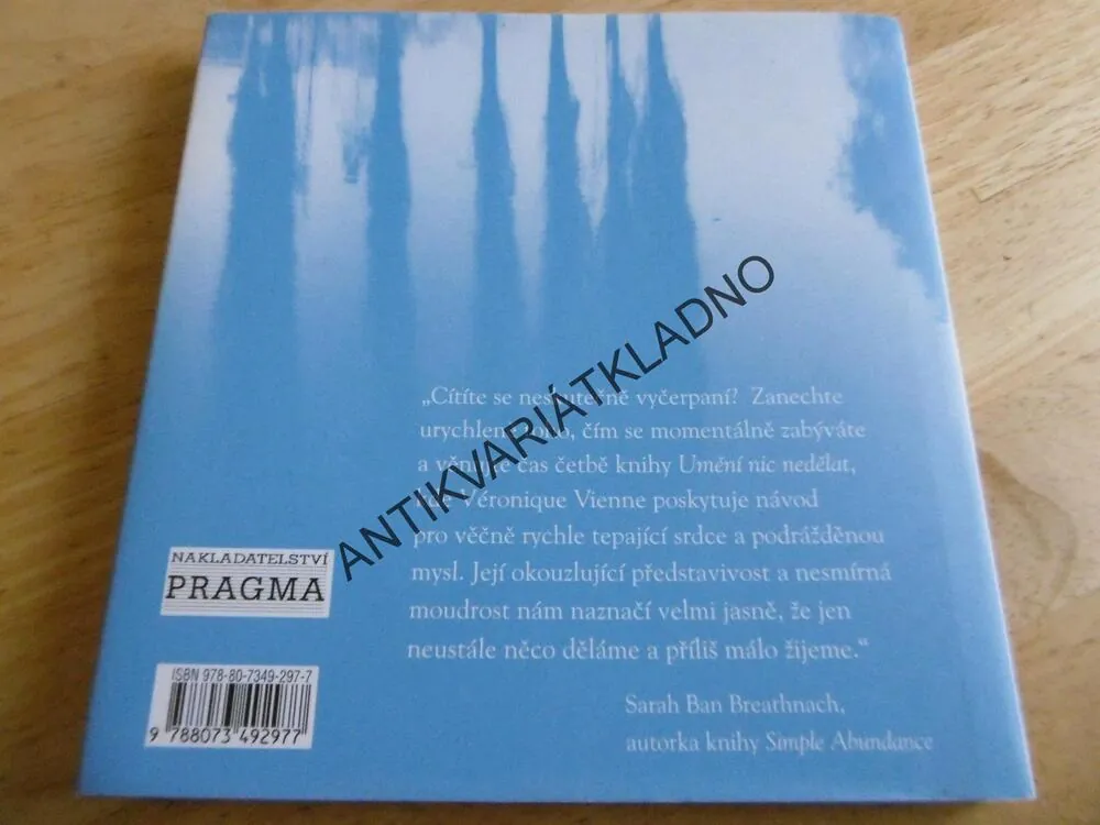 UMĚNÍ NIC NEDĚLAT A JAK MÍT ČAS PRO SEBE, VÉRONIQUE VIENNE, **an
