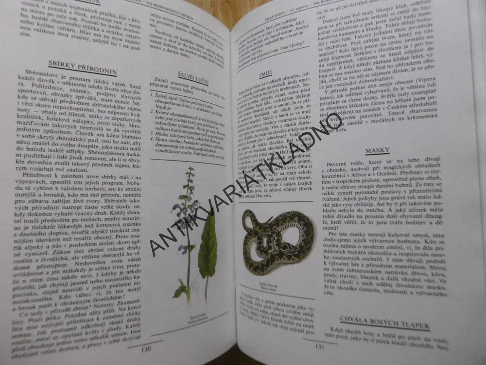 VÝPRAVY ZA DOBRODRUŽSTVÍM, MILOŠ ZAPLETAL, **an