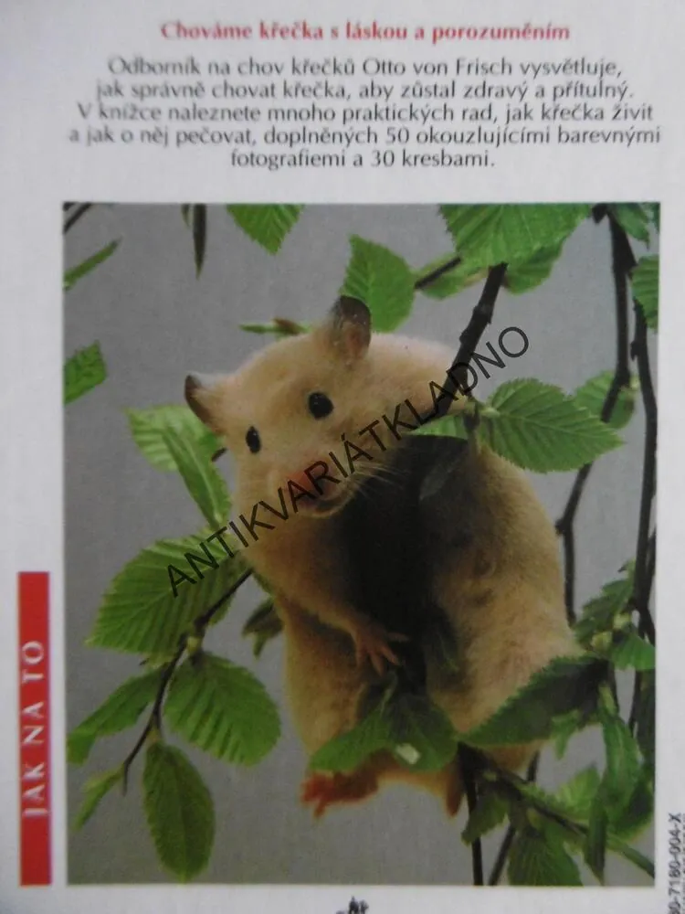 KŘEČEK, OTTO VON FRISCH, **an