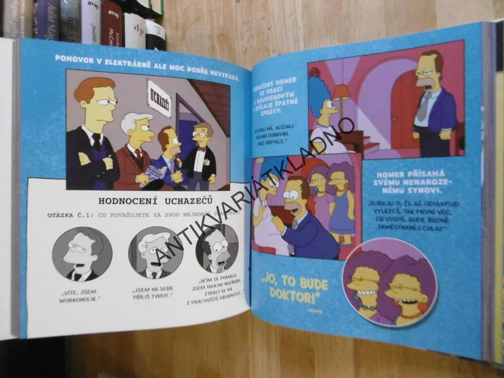 SIMPSONOVI, RODINNÁ HISTORIE, OSLAVA OBLÍBENÉ TELEVIZNÍ RODINY, MATT GROENING, **an
