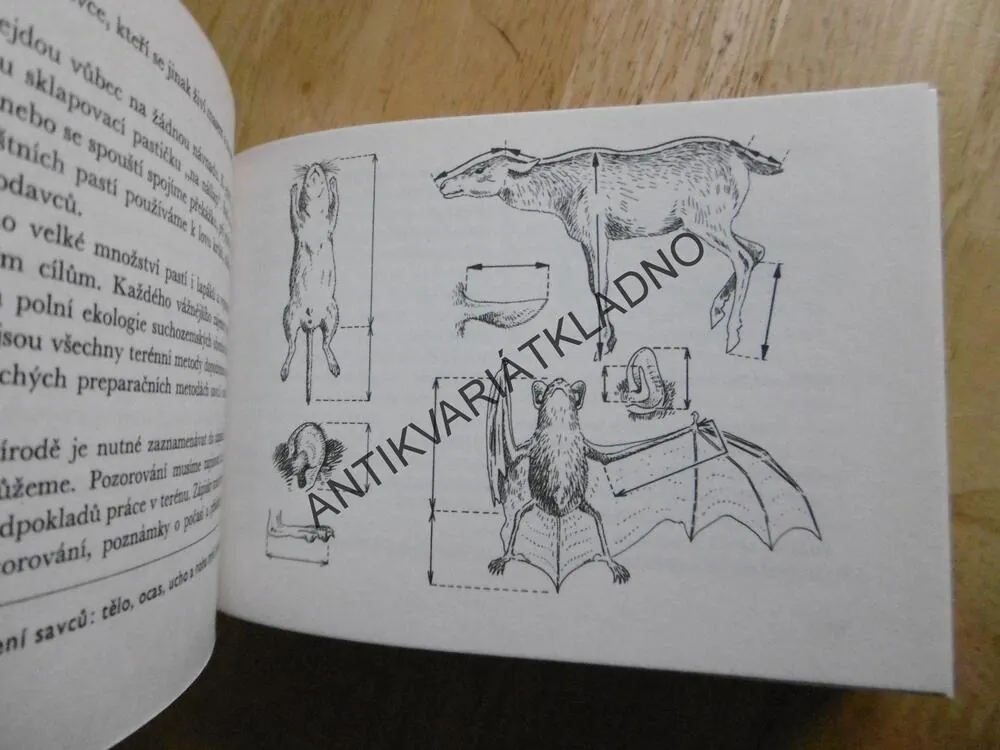 NAŠI SAVCI, HANZÁK, ČERNÁ, MAZÁK, EDICE OKO 26, **an