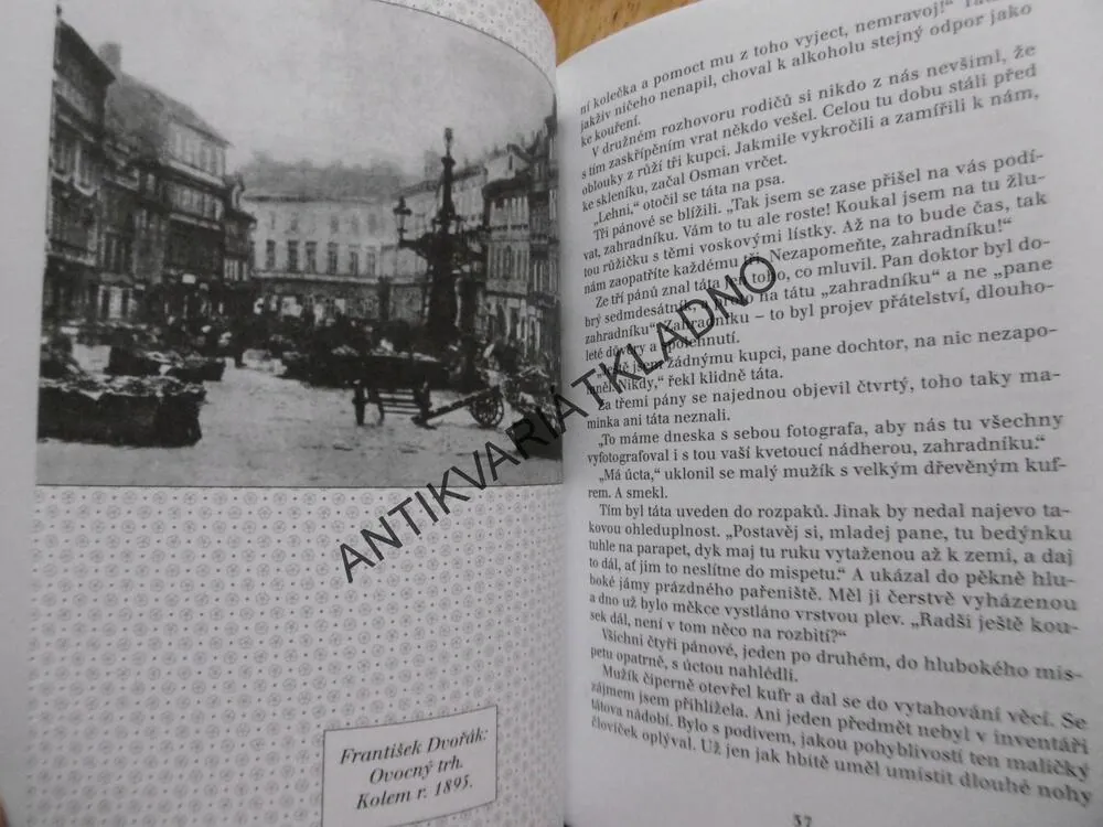 RŮŽE Z PRAŽSKÝCH TRHŮ, BOŽENA OBDRŽÁLKOVÁ, **an