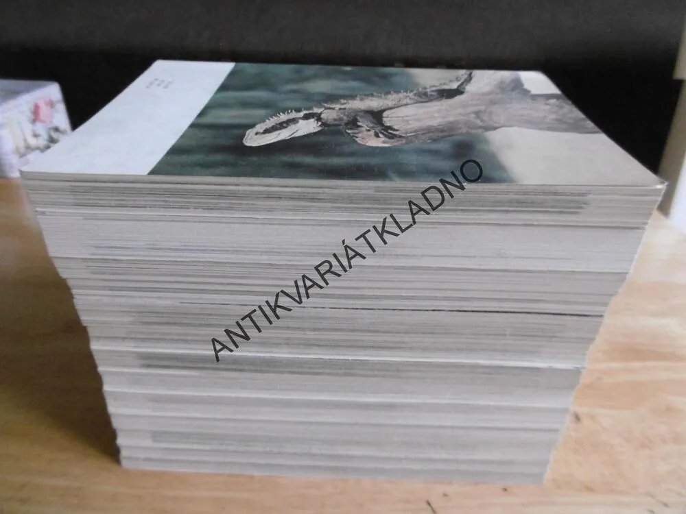 ZVÍŘATA CELÉHO SVĚTA, 1 - 13, **an