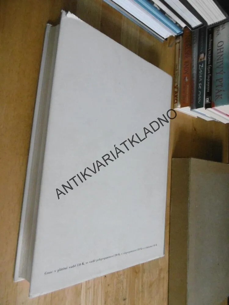 JOSEF MÁNES, JAROMÍR PEČÍRKA, **an