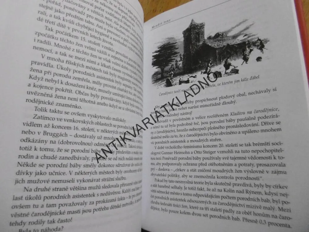 VE JMÉNU ĎÁBLA, DIETER BREUERS, **an