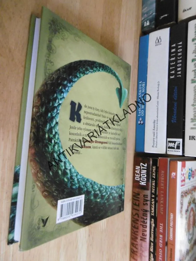 POSLEDNÍ DRAKOBIJCE, KRONIKA JENNIFER STRANGEOVÉ, **an